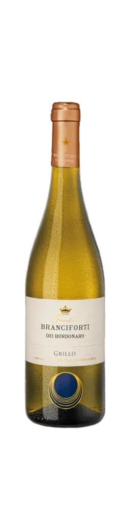 BRANCIFORTI GRILLO